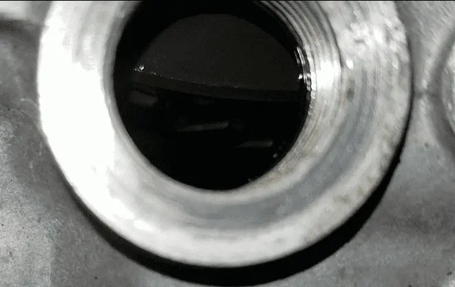 1616295721487.png