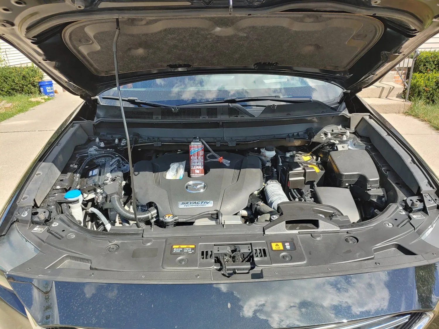 20200731_163718_HDR.jpg