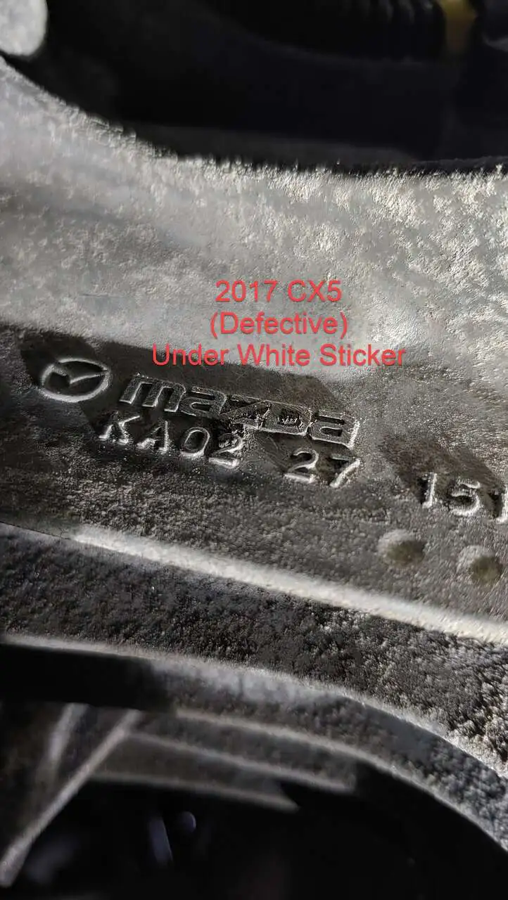 20230121_074358_HDR.webp