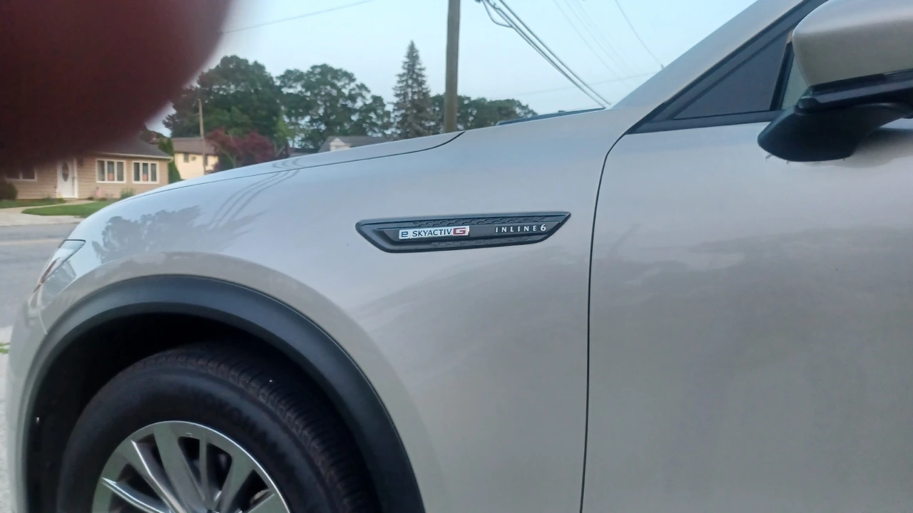 20250628_202623[1].webp