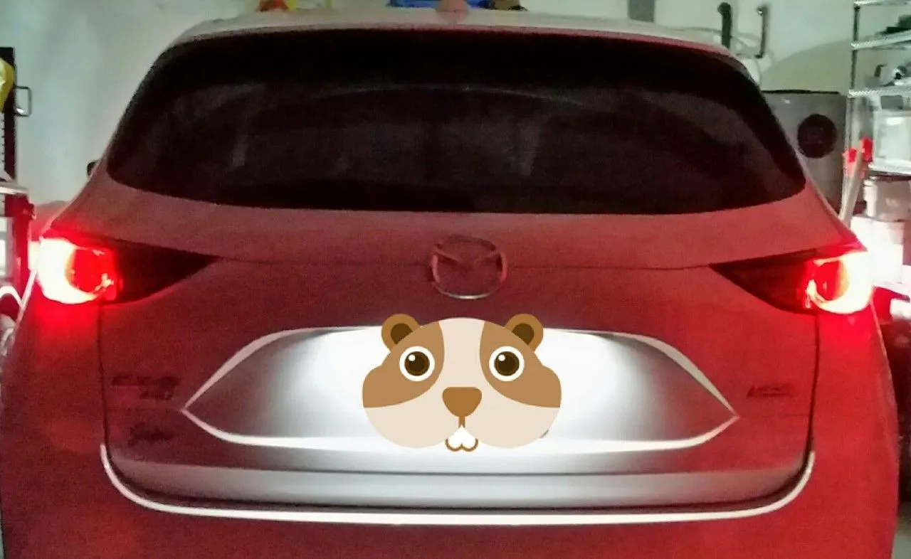 Before.jpg