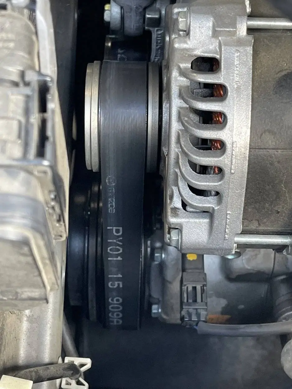 belt.webp
