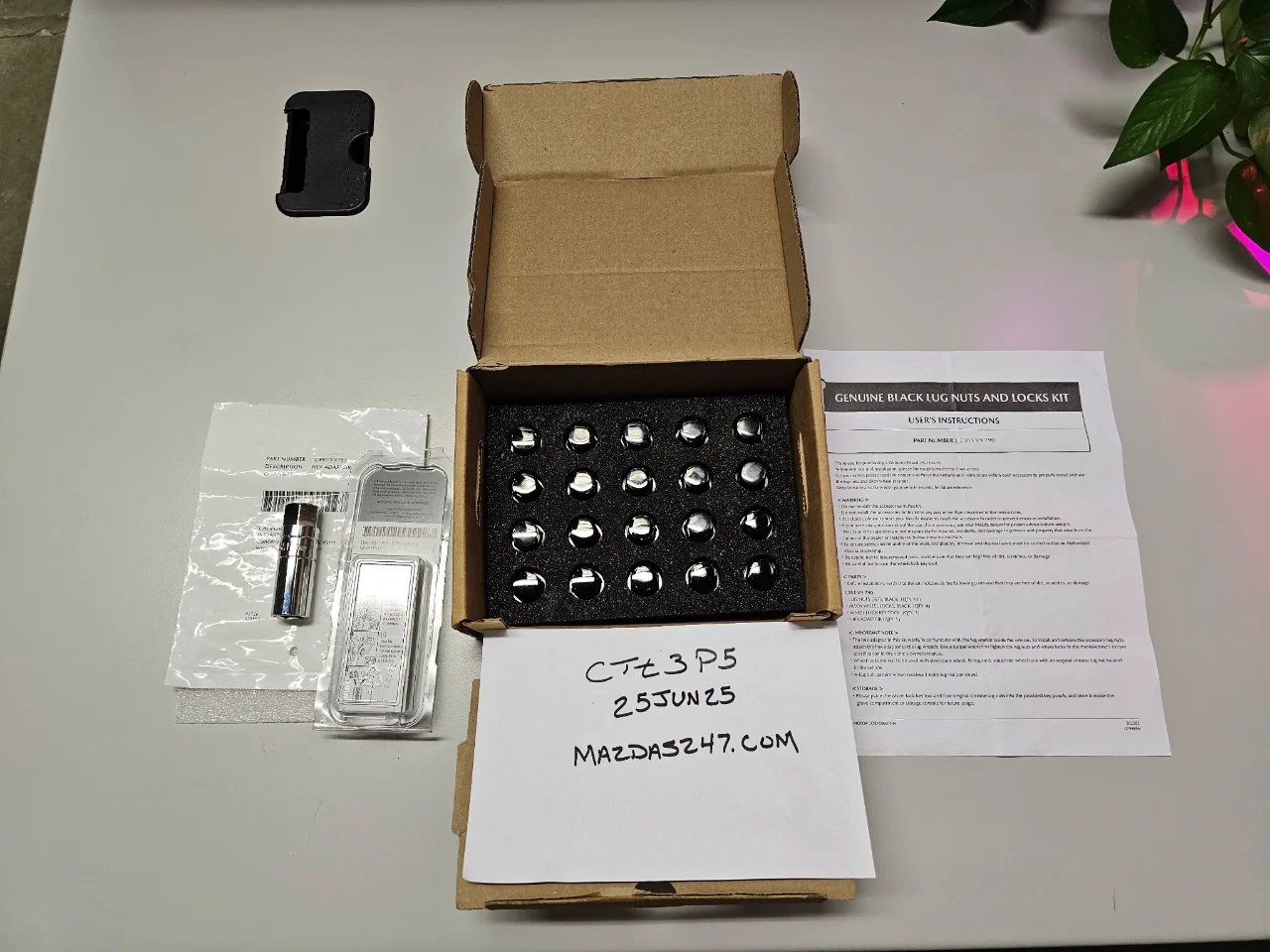 Black Lugs 247.webp