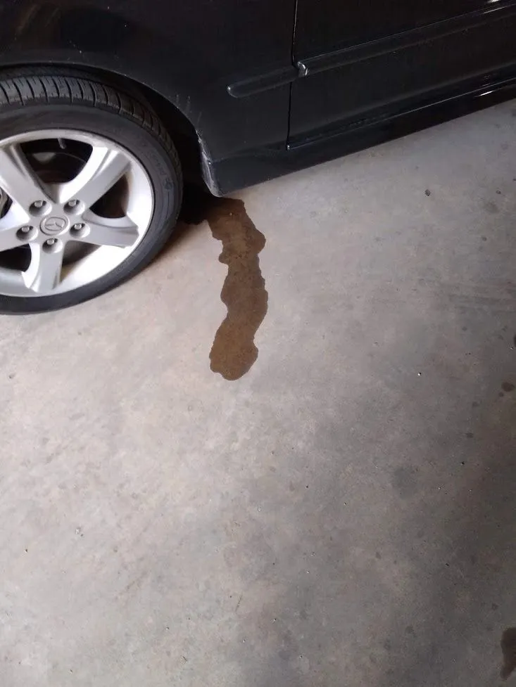 coolant leak.webp