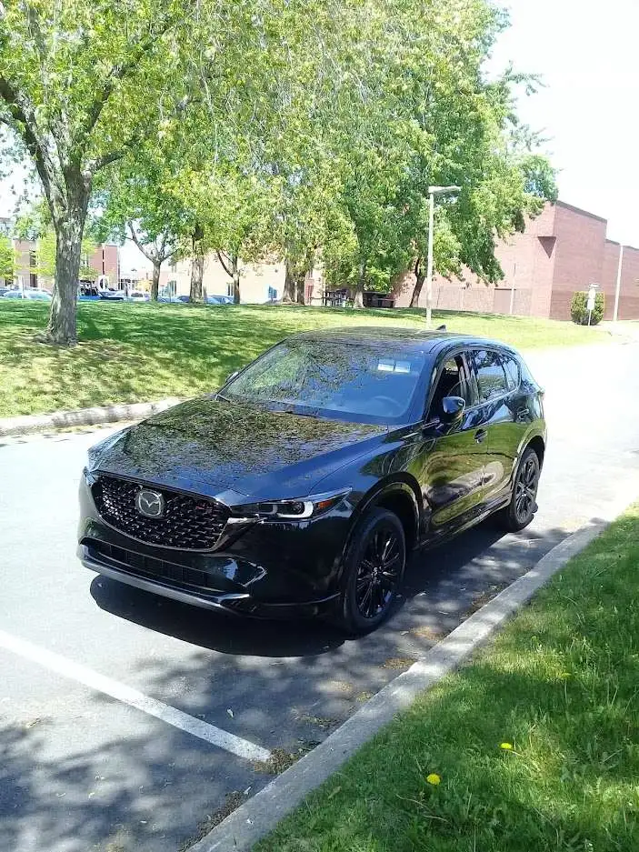 cx5 1.webp