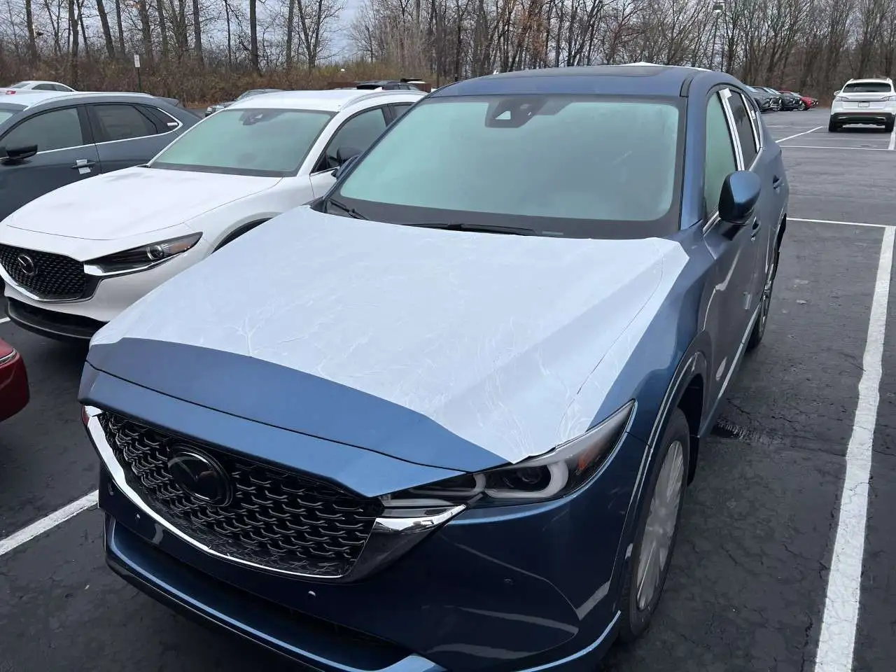 CX5 Signature.jpg