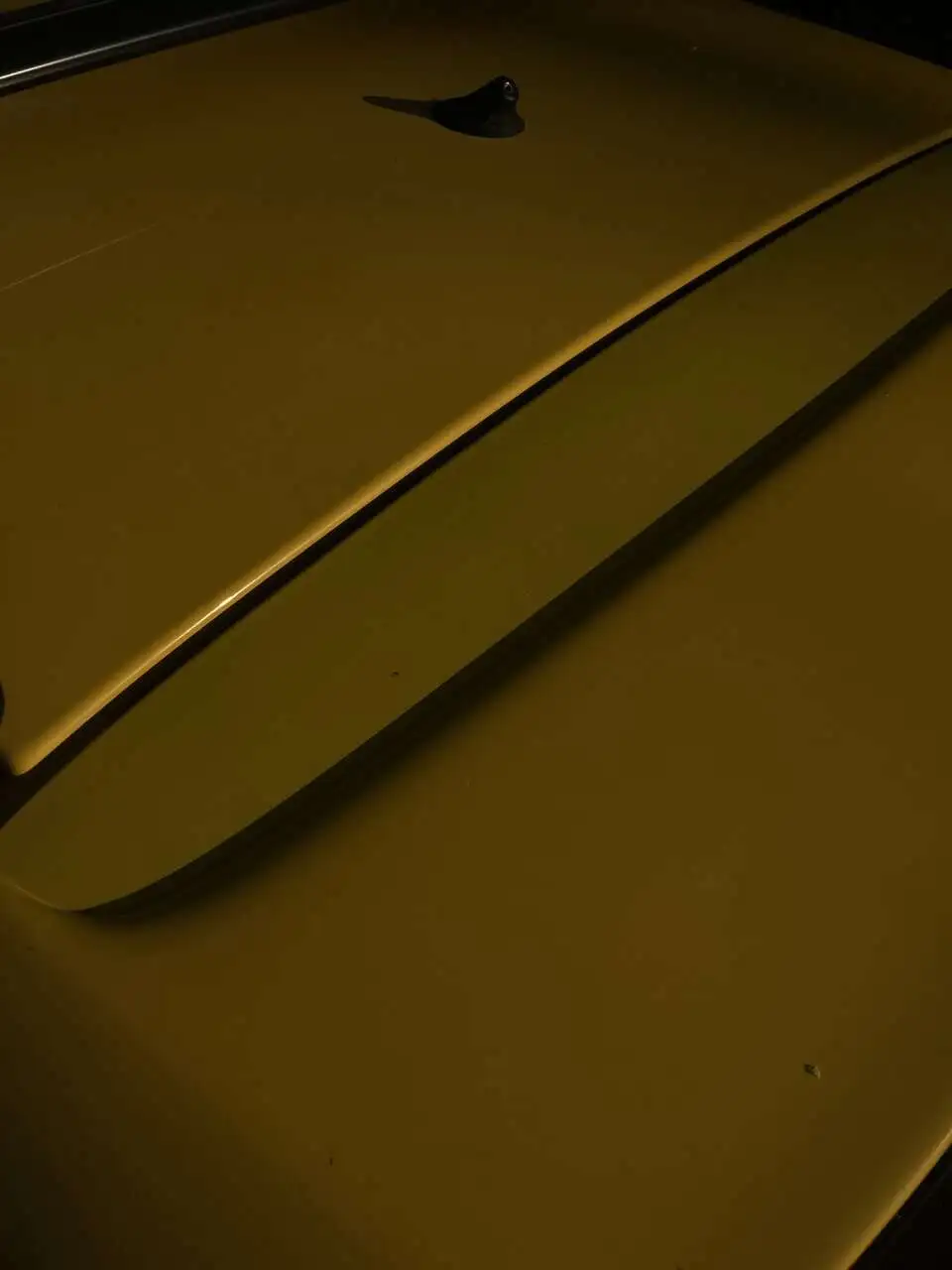D0914261-0BAD-4A62-83F8-5AE6814A6369.jpeg