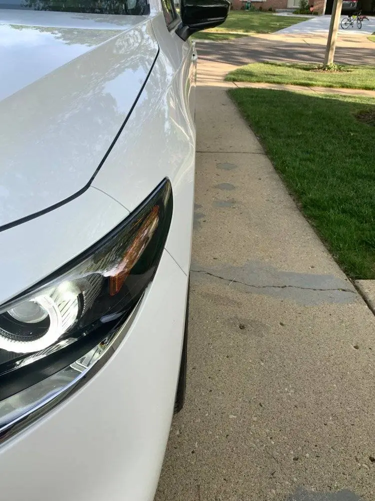 DS Wheel profile2.JPG
