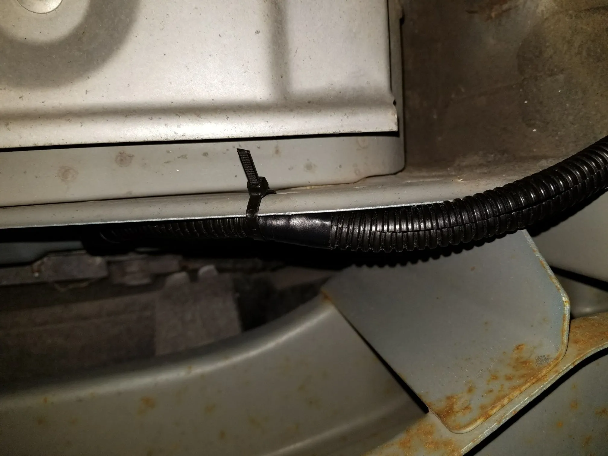 Emilia - Wire from Trunk.jpeg