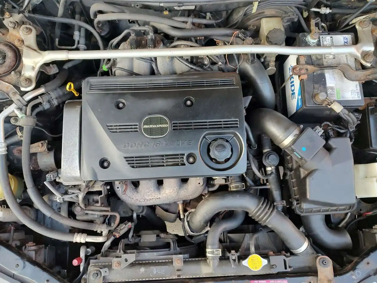 Enginebay-1.webp