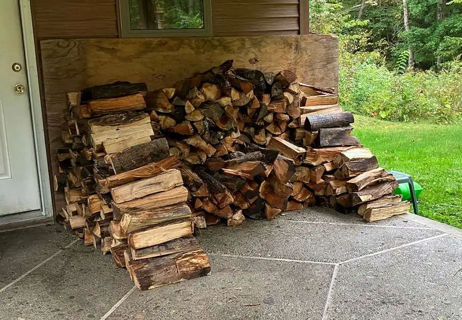 Firewood zz.webp