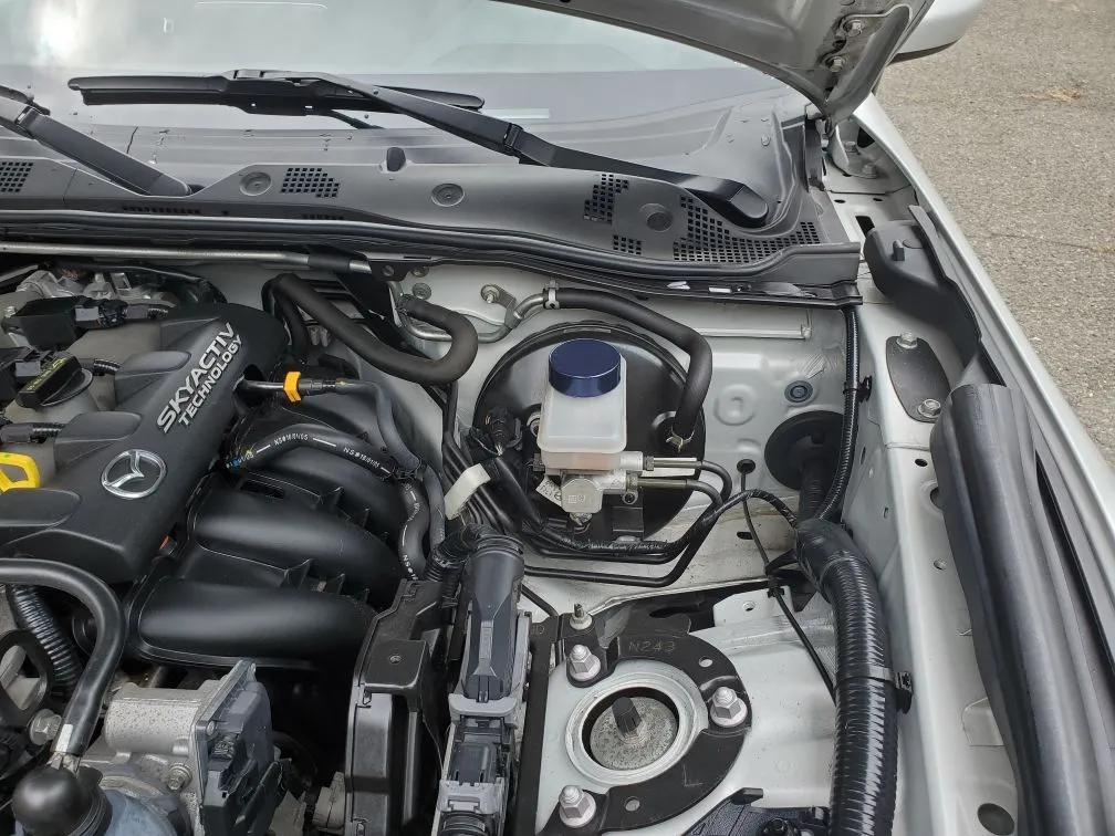 Ghost - Emilia Lives On.webp