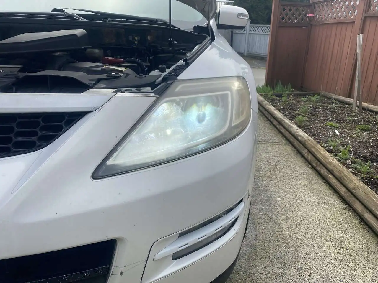 Headlights_098.jpg