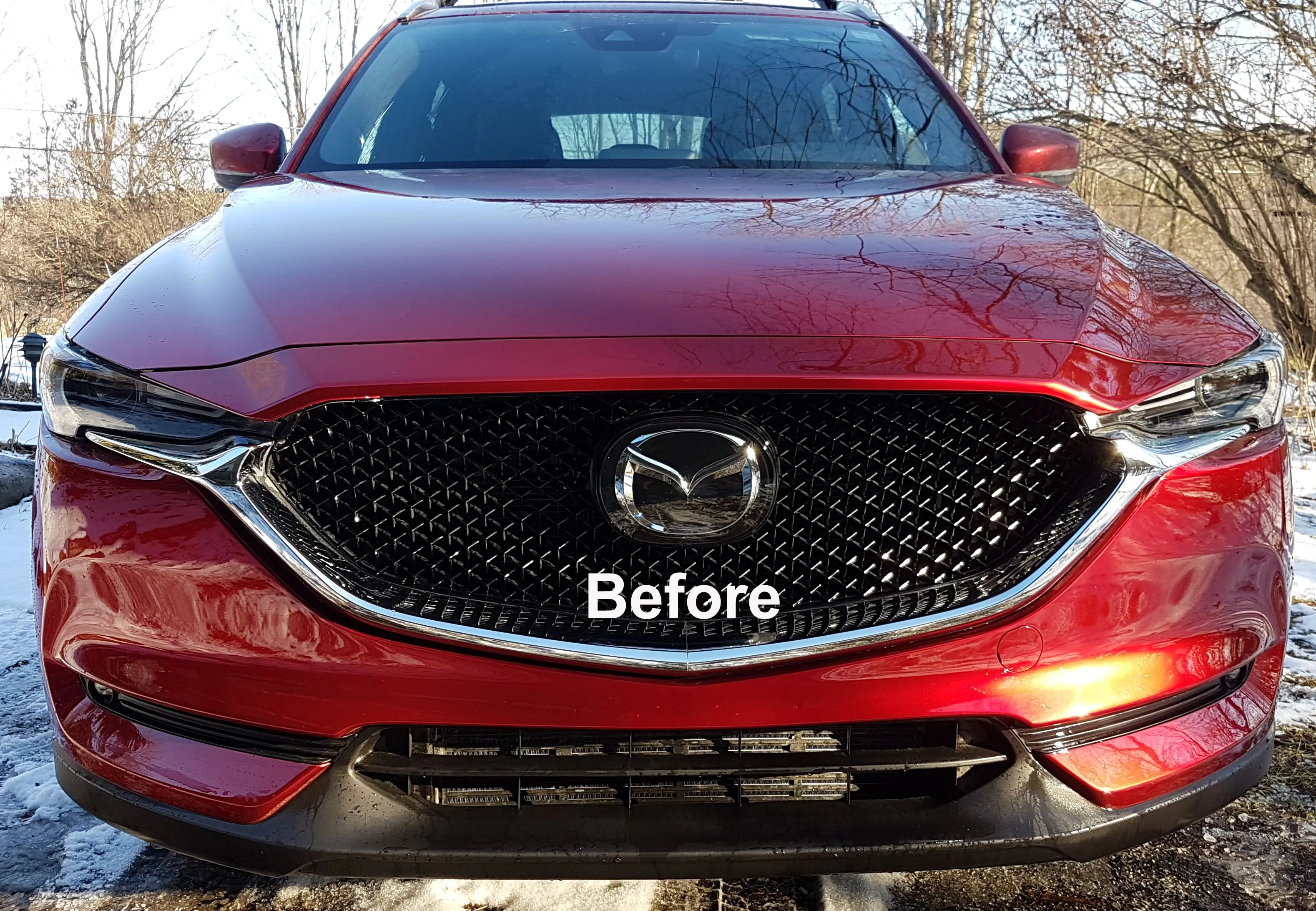Hood before.jpg