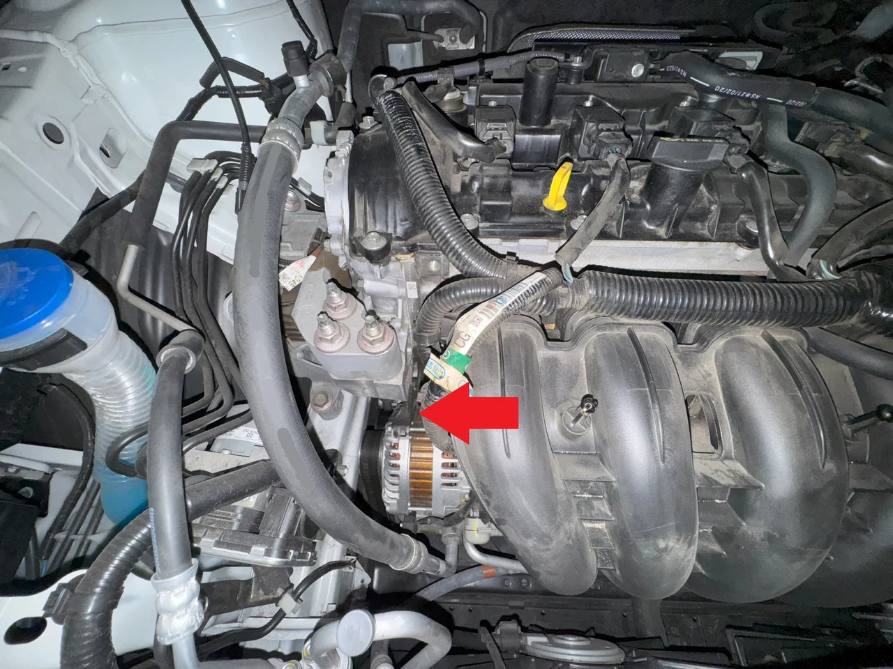 image1.webp