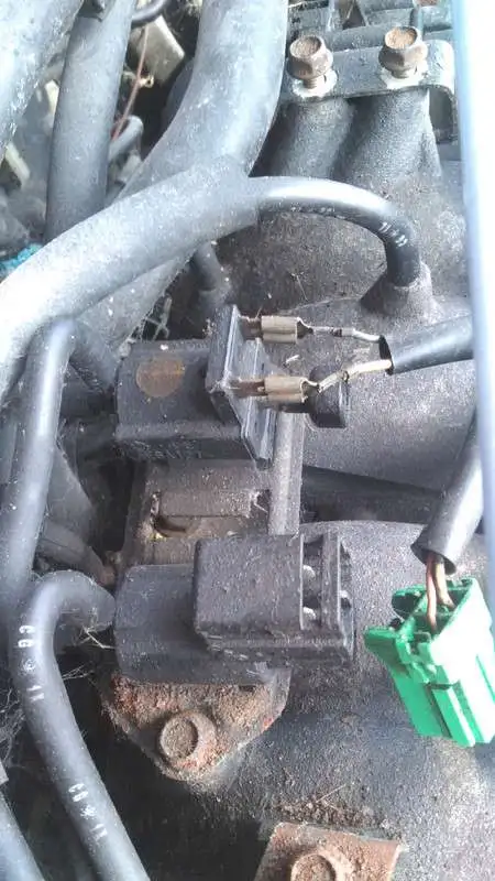 IMG-20190329-164330.webp