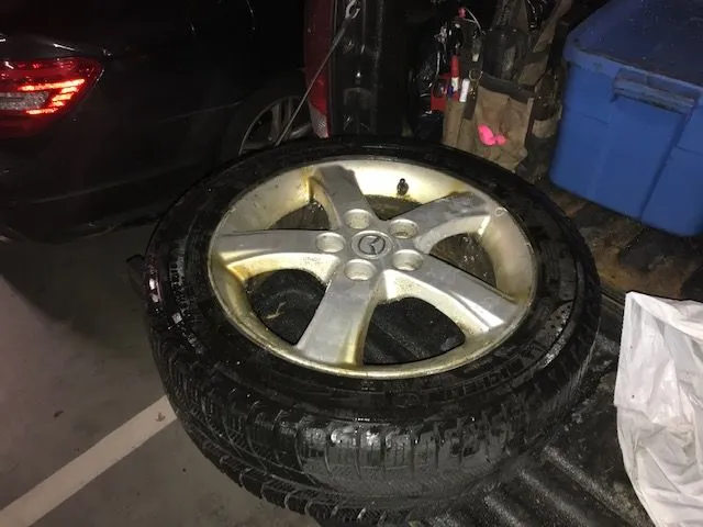 Stock Protege5 rims with Michelin X-Ice 205/50/R16 snow tires