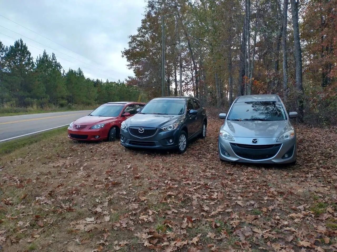 IMG_20201122_163213161_HDR.webp
