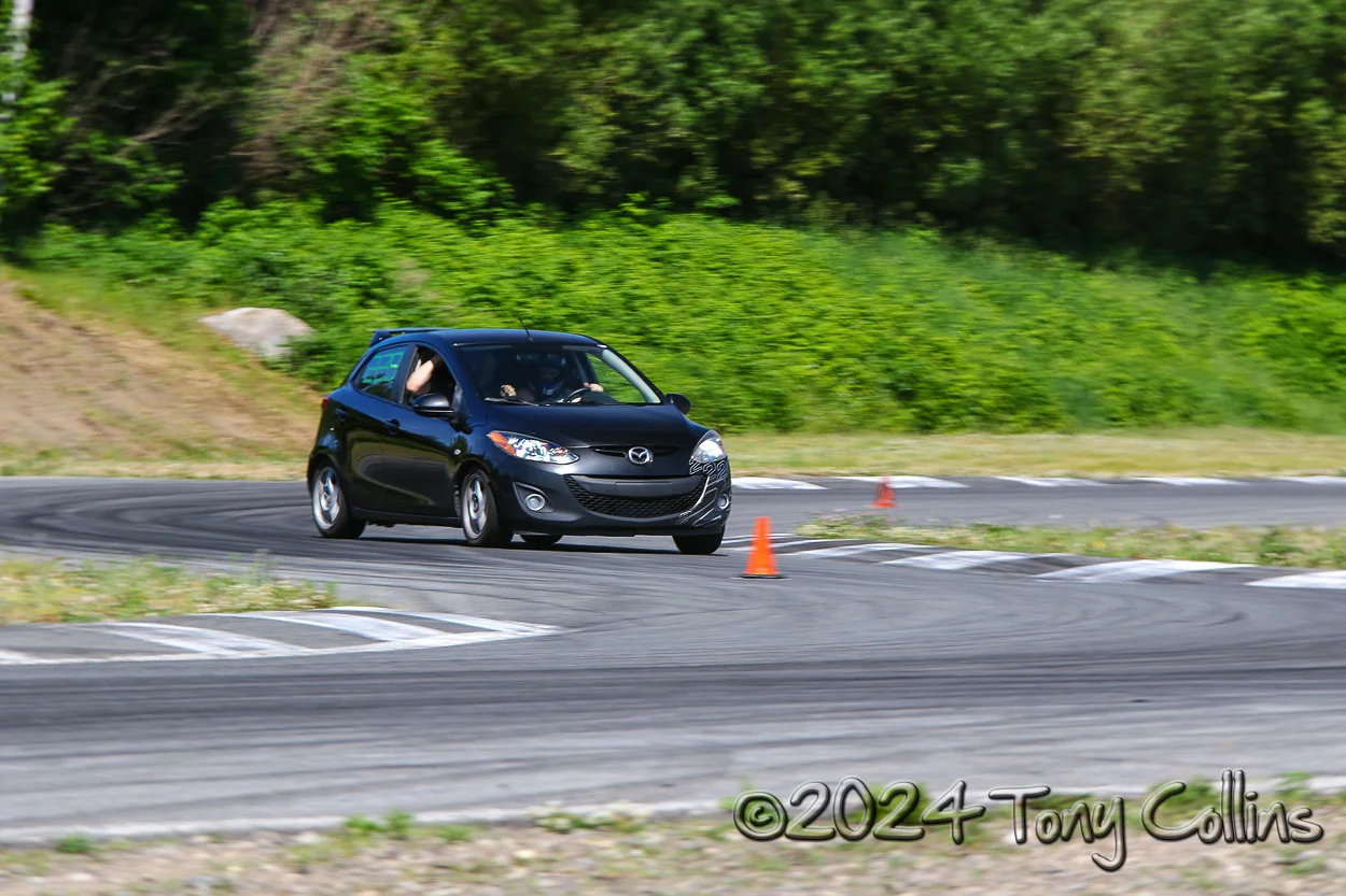 IMG_3998-vi.webp