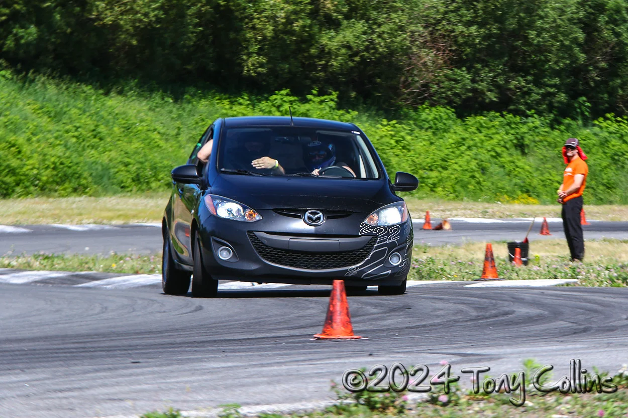 IMG_4000-vi.webp