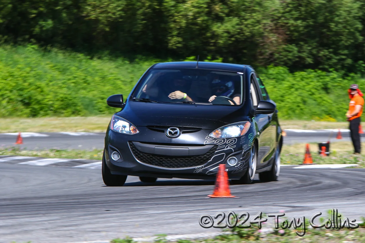 IMG_4001-vi.webp