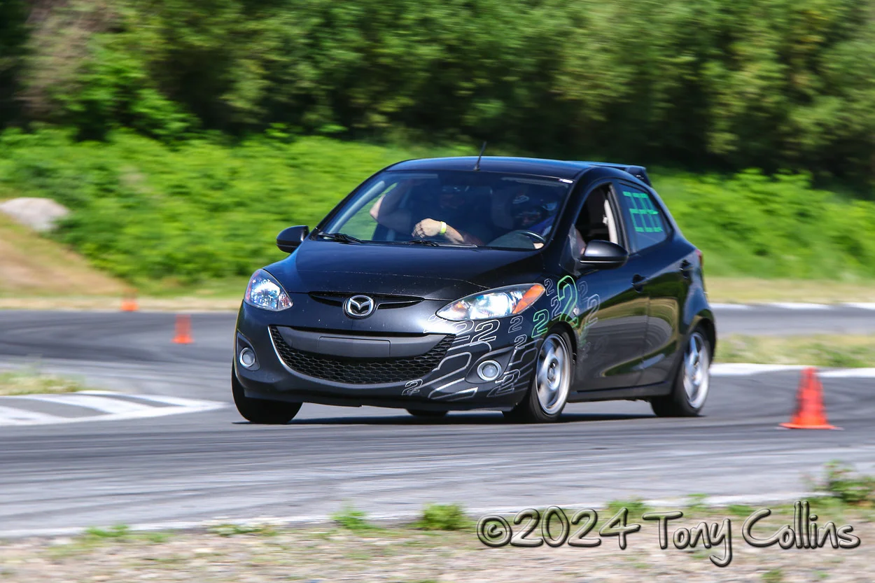 IMG_4004-vi.webp
