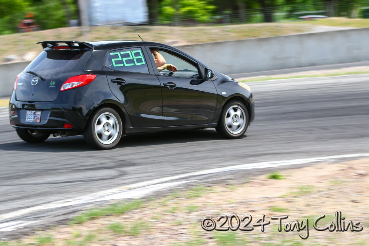 IMG_5003-vi.webp