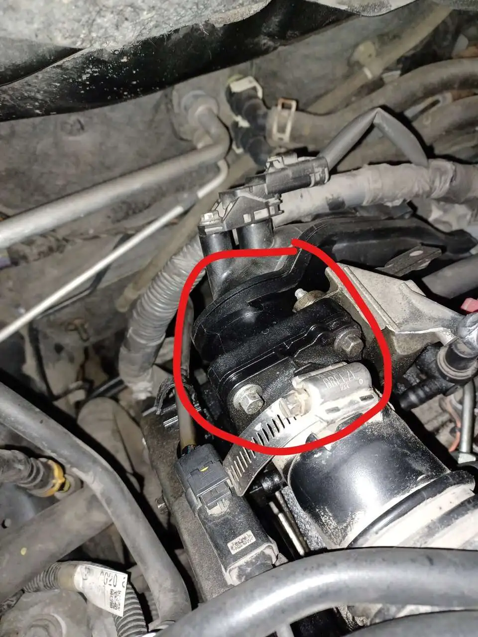 Mazda5 Mysterious fluid leak from engine | Mazdas247