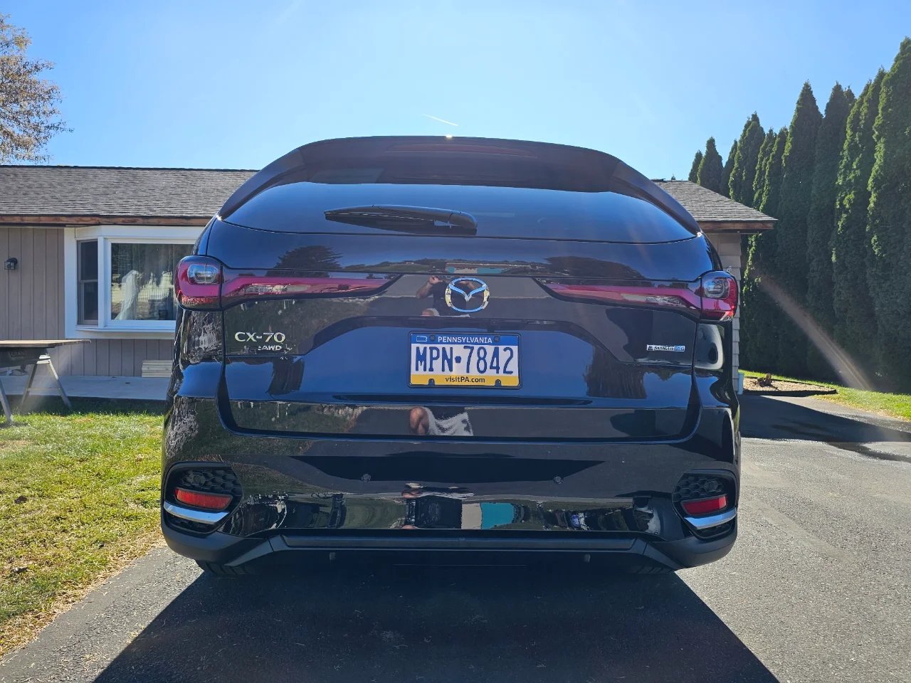 Meleys - Rear.webp