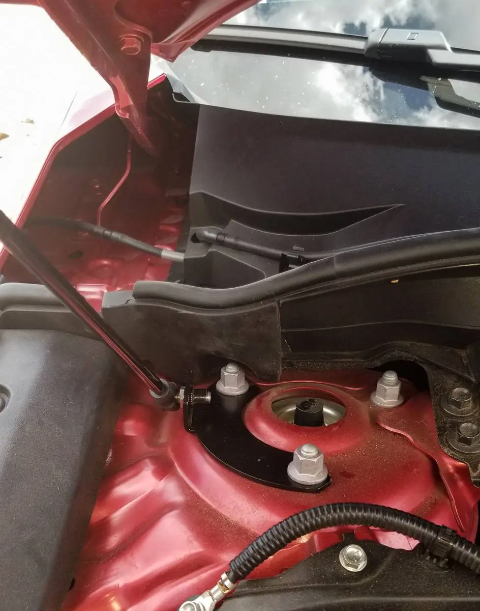 New Hood Struts_050821 (1).JPG