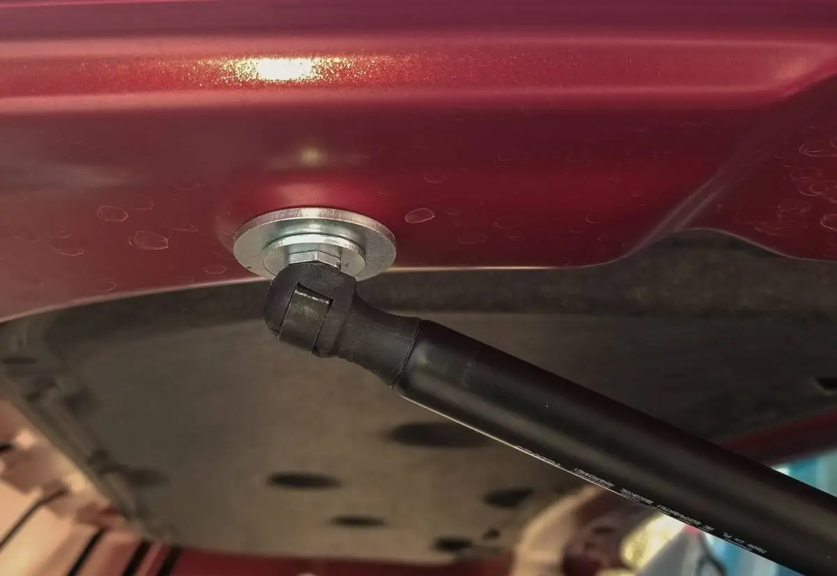New Hood Struts_050821 (3).JPG