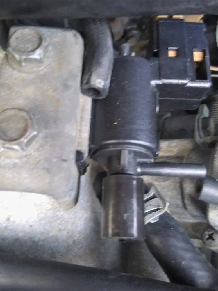 P5 Sensor Brown.webp