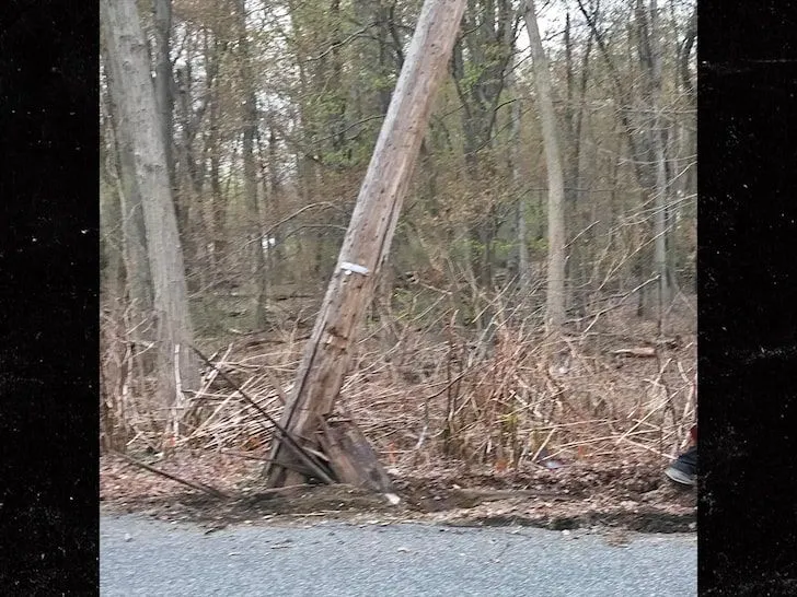 pole.jpg