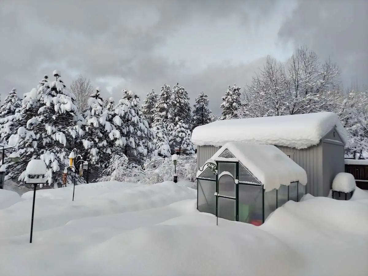 Winter Storm January 2023 (12).webp