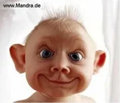 baby.webp