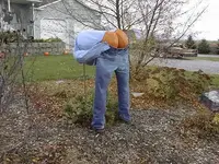 1happyfall.webp