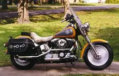 myscotter1.webp