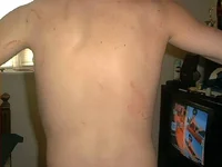 back.webp