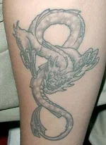 dragon.webp