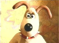 dog.webp