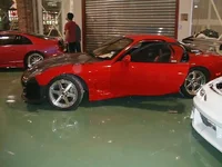 p1010027.webp