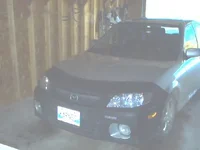 picture 2.webp