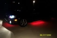 neons.webp
