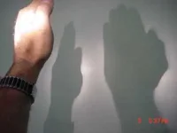 shadow.webp