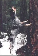 bluetick4.webp