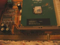 celery_small.webp