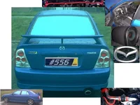 collage2.webp
