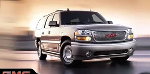 denali grill.webp
