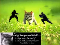 ninjaskill.webp