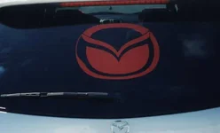 zoom new rear.webp